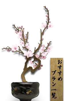 おすすめプラン一覧